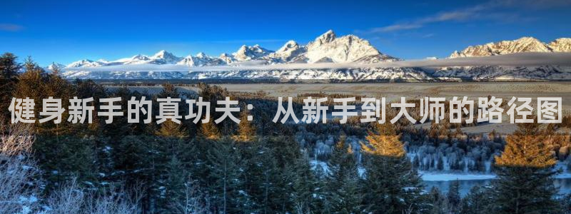 意昂4招商