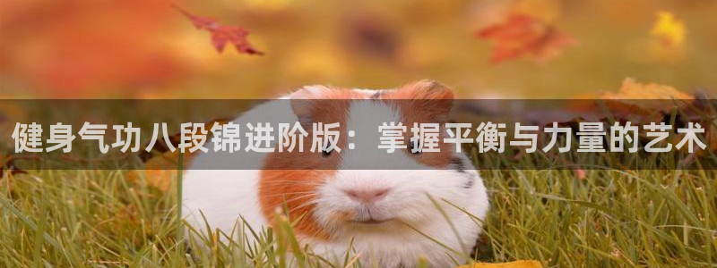 意昂4代理