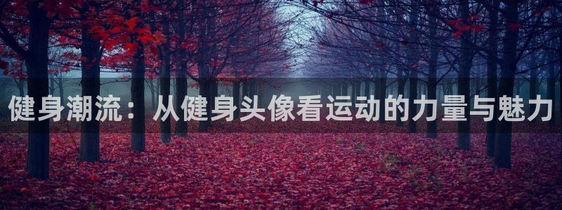 意昂4官网