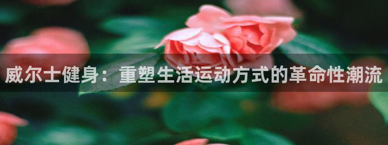 意昂4注册