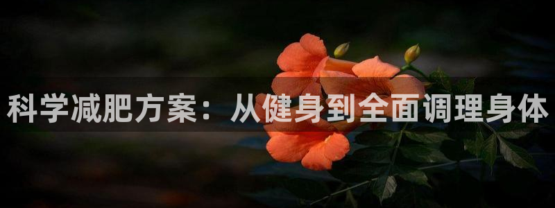意昂4代理