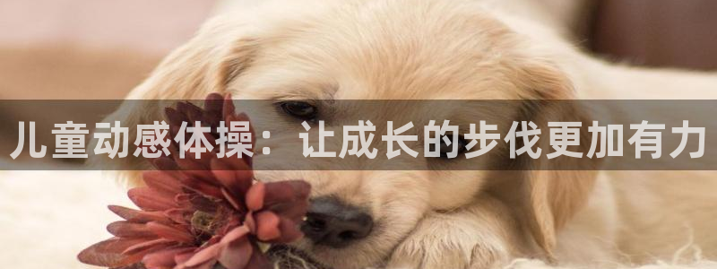 意昂4招商