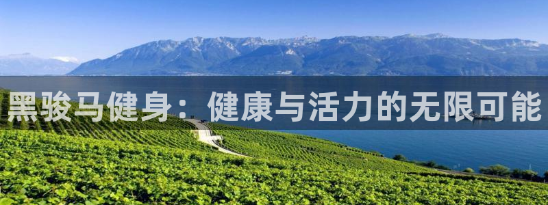 意昂4代理