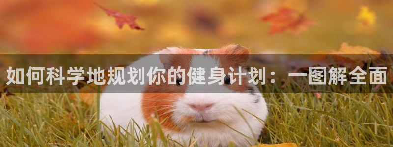 意昂4官方网站