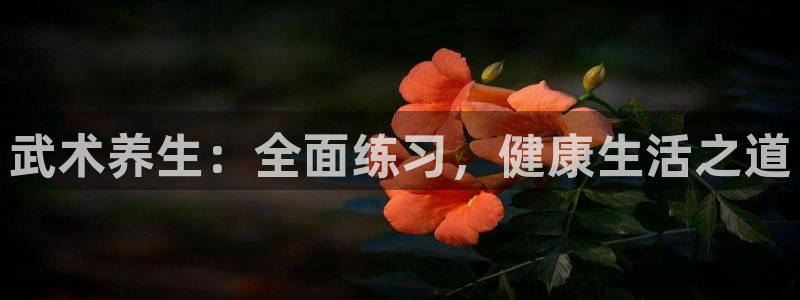 意昂4平台