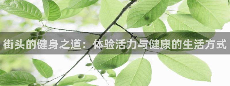 意昂4登录